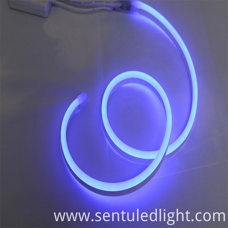 Hot Sale AC 220V SMD Flexible Neon Strip for Christmas Decorations